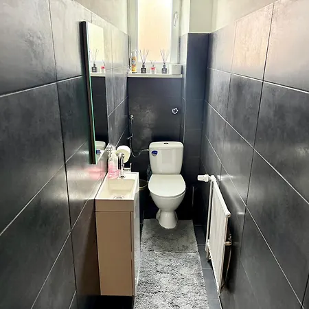 Schönes City-apartment Im Zentrum Mit Balkon! * Hof (Bavaria)